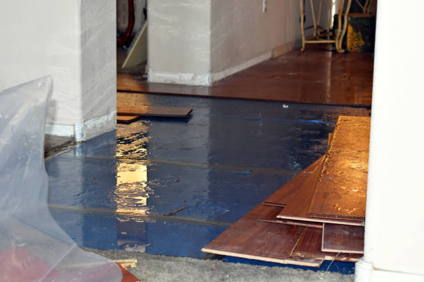 Professional Water Damage technician working in Lubec, ME