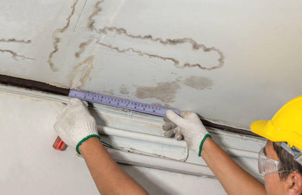 Reliable Water Damage contractor in Lubec, ME by Water Damage Irwin
